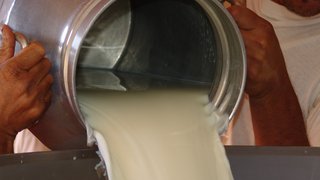 Minas Gerais é o maior produtor de leite do Brasil, responsável por 27% da produção nacional