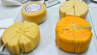 Novos critérios estabelecidos vão facilitar o registro de queijos produzidos a partir de leite cru