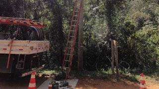 Técnicos da Cemig realizam a troca da rede nua pela rede protegida no parque