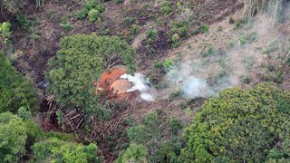 Operação investiga desmatamentos irregulares