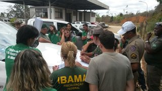 Fiscais apreendem animais silvestres no Norte de Minas e Vales do Jequitinhonha e Mucuri
