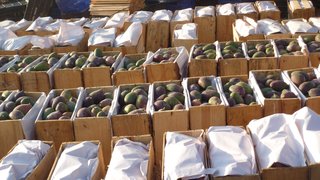 Em Belo Horizonte, 120 escolas estaduais compram legumes, frutas e doces da Coperjaíba