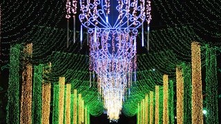Iluminação da Praça da Liberdade faz a alegria do Natal em Belo Horizonte