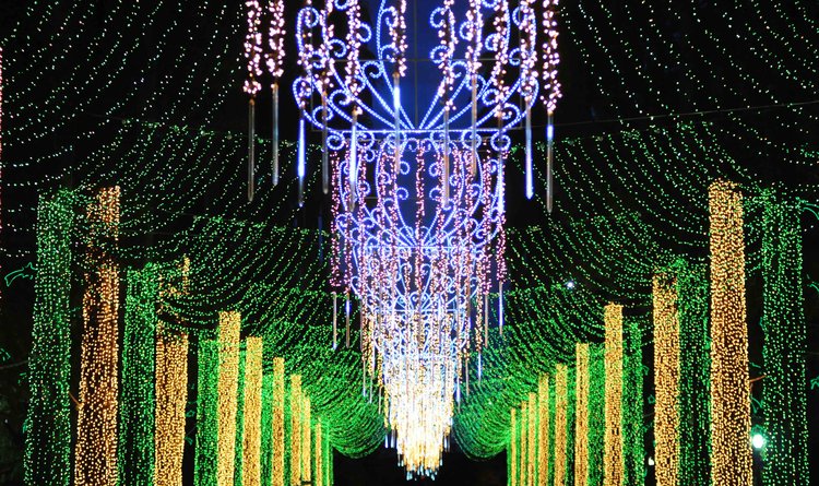 Nova iluminação de Natal instalada na Praça da Liberdade emocionou o público presente