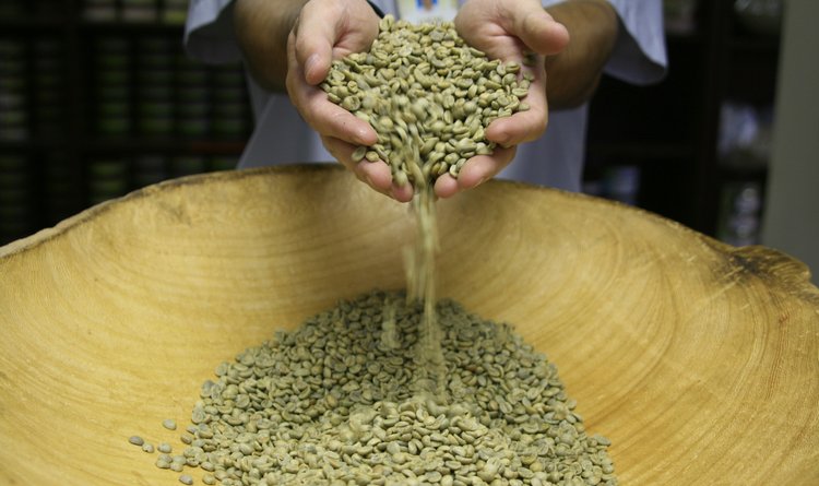 Nas fazendas da região é possível acompanhar todo o processo de produção do café