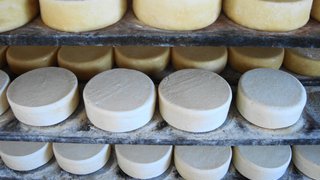 Epamig também vai apresentar uma degustação comentada sobre o queijo artesanal