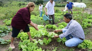 O sr. Raimundo e a família plantam frutas e hortaliças que vão também para a merenda escolar