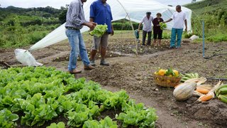 Os cinco membros da família Moura mantém a tradição da agricultura na Fazenda Matos