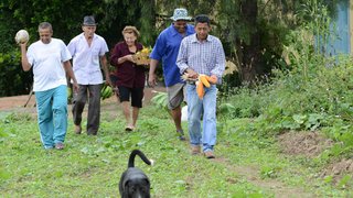 Os cinco membros da família Moura mantém a tradição da agricultura na Fazenda Matos