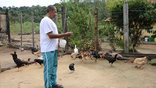 O filho mais novo, Raimundo Jr., ajuda na criação de aves, na Fazenda Matos